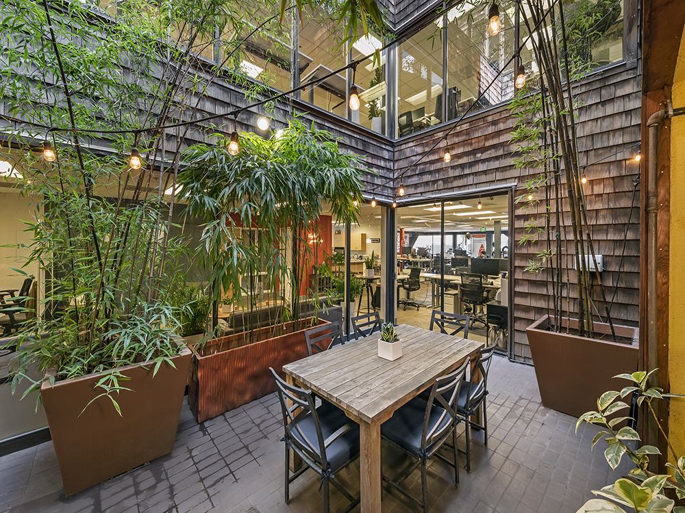 atrium with bamboo plants and lights